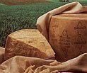 Grana Padano 5lbs by PastaCheese