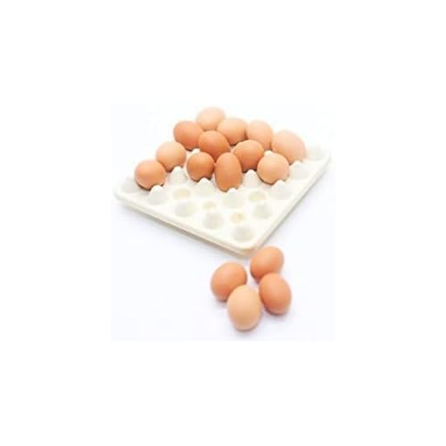 Design Mini Egg Set in Tray Home Deco Miniature Handmade Food Supply No.2
