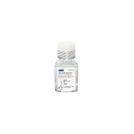10% Sodium Dodecyl Sulfate (SDS) Solution - DNase/RNase/Protease Free SDS in Autoclaved 18.2 Ohm Deionized Water - 125mL
