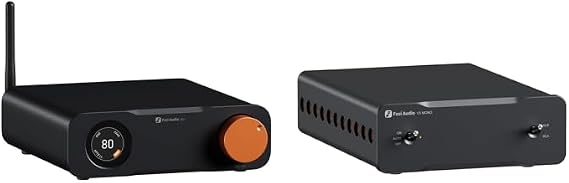 Fosi Audio V3 Mono Power Amplifier and ZD3 Desktop DAC Preamp for Home Theater