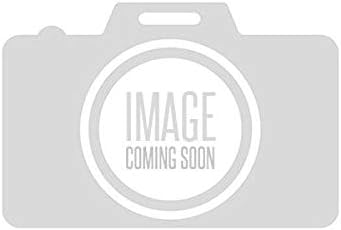 Bendix Release Valve