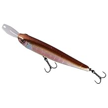 Jackall Riser Topwater (JRIS007-MIW) Fishing