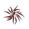 Thai Chilli - 20 Seeds