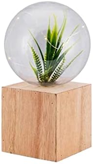 Relaxus Terra Lights on Wood Square Base. String of 8 LED Bulbs