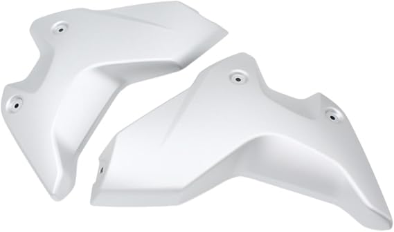 Motorcycle Side Frame Fairing Cowl Guard Radiator Cover for BMW R1250GS 2018-2023(Silver)