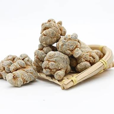 Natural Premium Panax Notoginseng-Panax,Notoginseng-Radix Notoginseng,100g