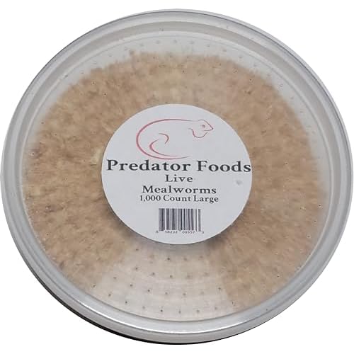 Bulk Live Mealworms - 1,000 Count Large - ~.75