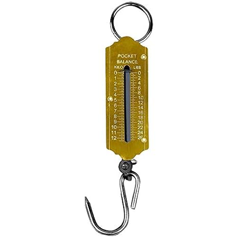 XINTU Spring Balance Fish Scales, Pocket Mechanical Spring Balance Weighing Scale with Hanging Loop for Home Kitchen Luggage Fishing (12KG)