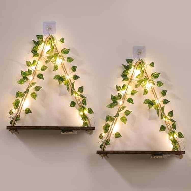 EXIN DECHEN Floating Shelves for Wall No Drilling,Wall Shelves,Hanging Shelf,Leaves and Light Strip with Flower,Set of 2 Plant Decor for Home Livingroom Bedroom,Led Room Decor Aesthetic,Gift