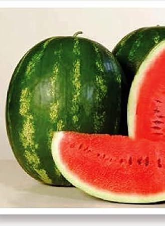 AGRODAL TARIM Ata Tohumu Doğal Diyarbakır Kapruzu 100 Adet Tohum