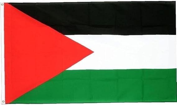 Ple Ps Palestine Flag Polyester 5ft x 3ft 90x150cm