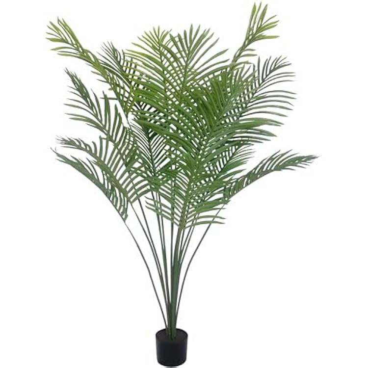 Plant - Areca Palm 5ft 15 Branches