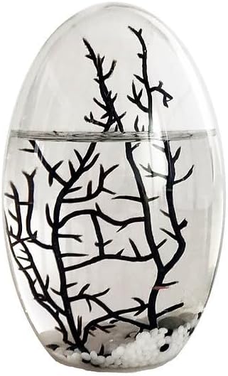 Ecosystem- Closed Ecosystem, Small Oval 5" with 2-3 Shrimp