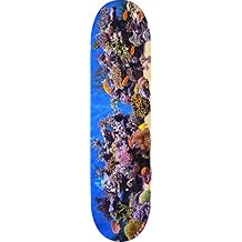 Mini Logo 255/k-20 Deck 7.5 Fish Tank