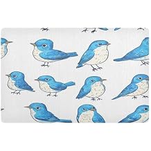 Floor Door Mat 32x20in Non-Slip Rubber Backing Trap Dirt and Moisture Back Door Mat Absorbent Entryway Mat for Muddy Shoes & Paws Cartoon Cute Eastern Bluebird Birds White_2