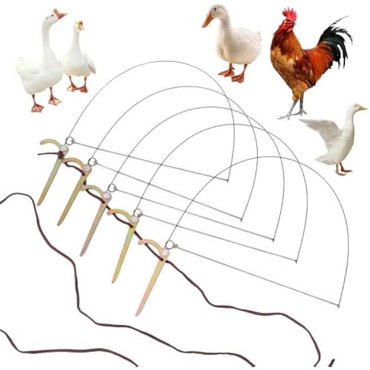 Hunting Trap for Birds Bird Trap for Chicken, Pheasant,Wild Duck, Partridge Mallard and Other Birds Tying Birds feet Wont Hurt Them
