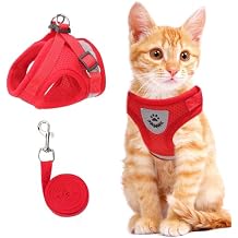 Cat & Dog Vest Harness - All Weather Mesh, Reflective Strap, Step-in Adjustable for Small Cats & Dogs (Red, XS)