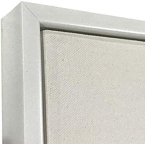 SUNBELT White Floater Picture Frame 1 3/8" Deep, for 3/4" canvas, (different sizes) (8x10)