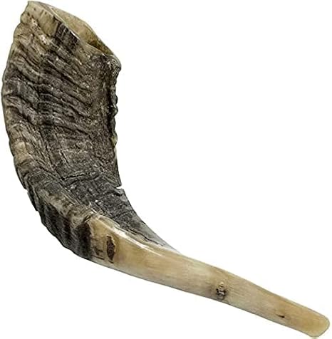 Nana Gifts Authentic Ram Shofar Horn From Israel, Polished, 10''-12'' | Biblical Musical Instrument For Prayer & Jewish Holidays. Natural, Clear, Soul-Stirring Sound, Meaningful Religious Gifts