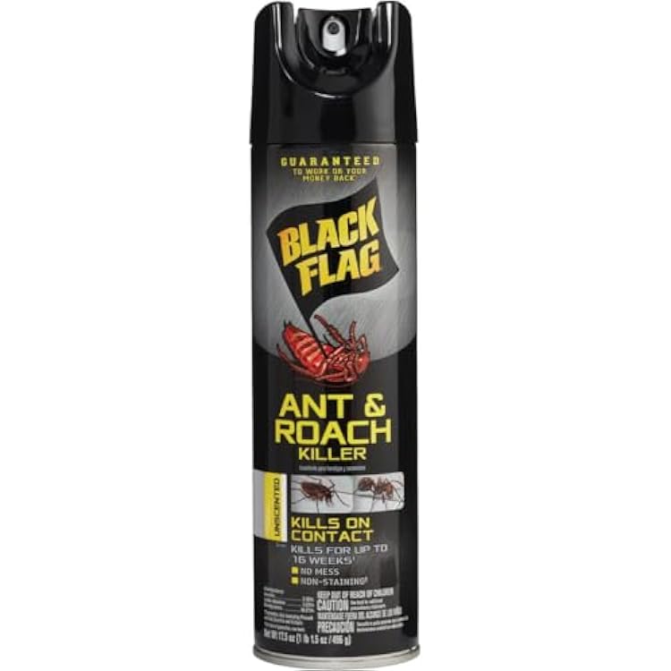 Black Flag Ant and Roach Killer 17.5 Ounces, Aerosol Spray, Unscented