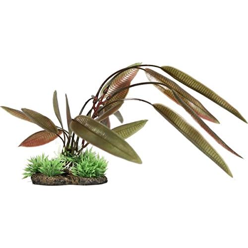 ELIVE 1443 034332 Natural Elements Crypt Plant, 9Large, Red