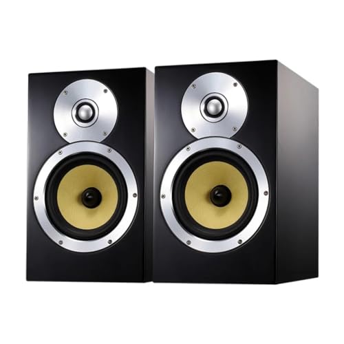 120W 4 Ohm DM5 Wooden Amplifier Speaker Bullet Bass Bookshelf Speaker Preposition HiFi Passive Fever Speaker