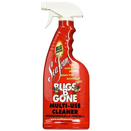 Sea Foam BBG1 Cleaner