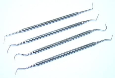 Life Gears 4Pc Dental Probe Set, Stainless Steel
