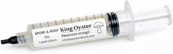King Oyster Liquid Culture 10ml | Pleurotus Eryngii | Growing Mushrooms | Prepared in the USA