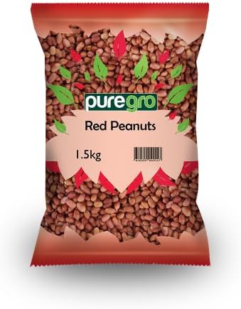 Puregro Red Peanuts 1.5kg (PACK OF 1) | Mani Roj | Red Skin Peanuts | Raw Whole Skinned Peanuts | Premium Nuts.