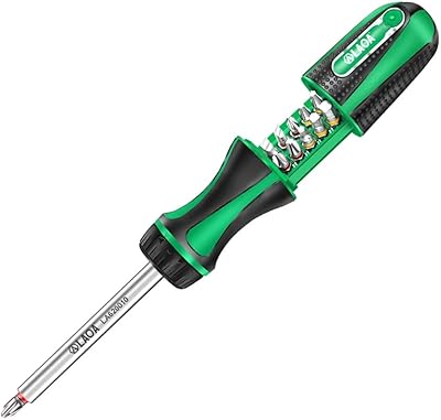 LAOA Ratcheting Multi-Bit 10-in-1 Screwdriver Set with with Phillips Nut Driver 48T 20N.m Aluminum Rod Tools Kit
