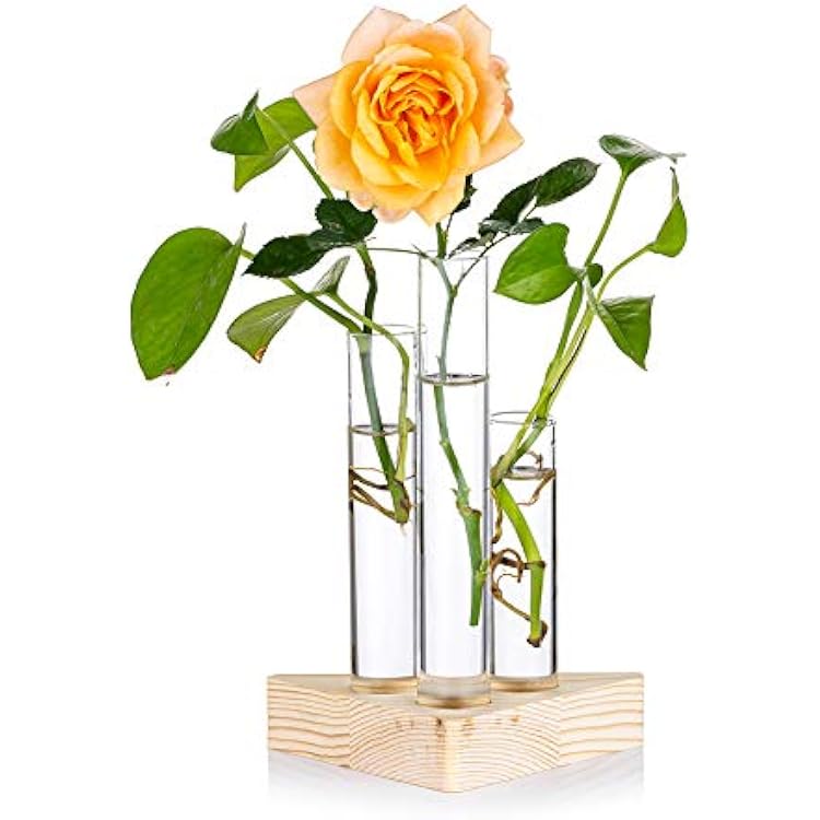 Glass 3 Test Tube Bud Vase in Wooden Stand, Tabletop Terrarium Planter, Triangle Plant Propagation Station, Flower Pots for Hydroponic Plants Cuttings Office Home Decoration, Grest Gift