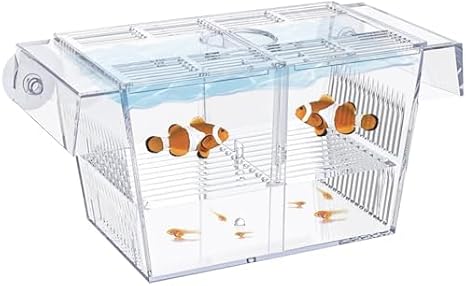 Pawfly Aquarium Fish Breeding Box Medium Isolation Box Acrylic Hatchery Incubator Tank with Suction Cups for Baby Fish Shrimp Betta and Guppy