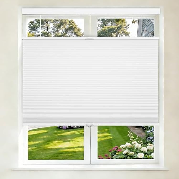 Grandekor Top Down Bottom Up Cellular Shades Cordless, Pull Down Honeycomb Blinds for Windows Room Darkening Blinds & Shades for Living Room Bedroom, Blackout, White, 33 Wx64 H