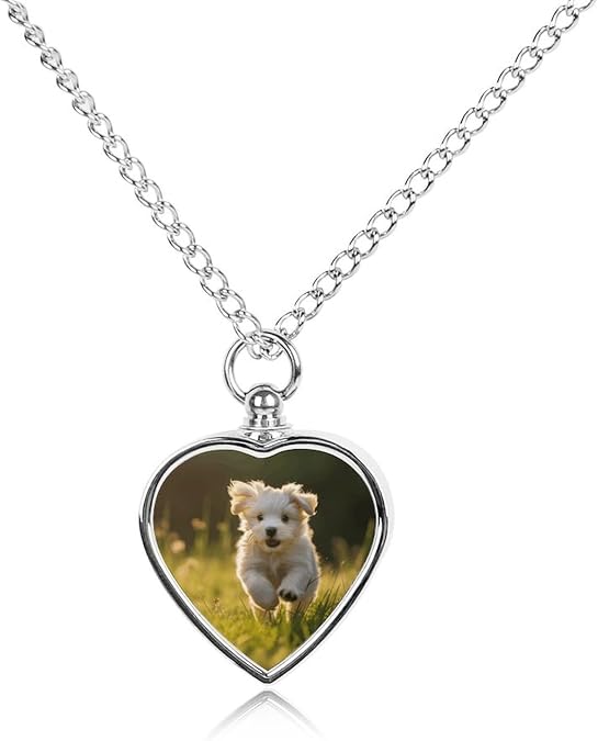 Pet Urn Necklaces for Ashes Fur Cremation,Ashes Necklace with Puppy Crossing The Grass Patten Memorial Keepsake for Pet Human