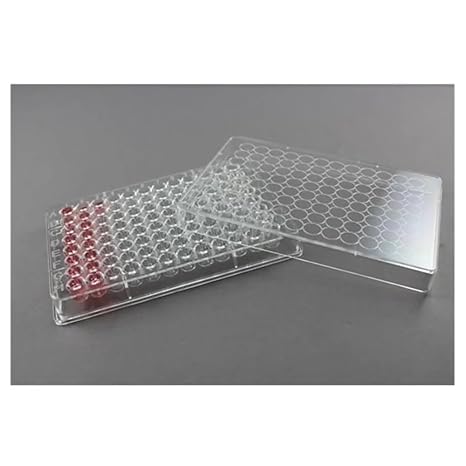Glassware Labware 96 U Shape Holes Pate Lab Supplies
