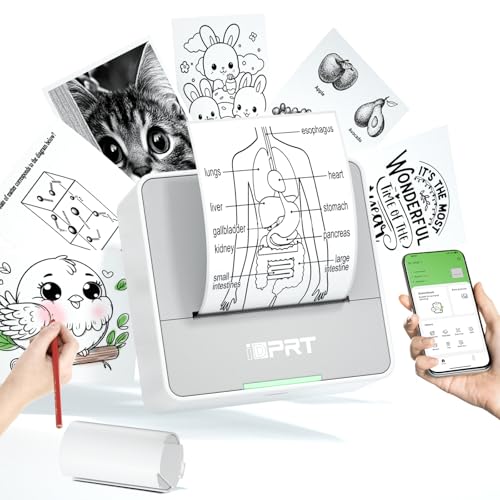 iDPRT Mini Printer with 1 Roll Sticker Paper, Portable Sticker Maker Machine Efficiently and Quickly, Thermal Printer for Study Notes, Pictures, DIY, Label, Free App with Multiple Templates, Gray