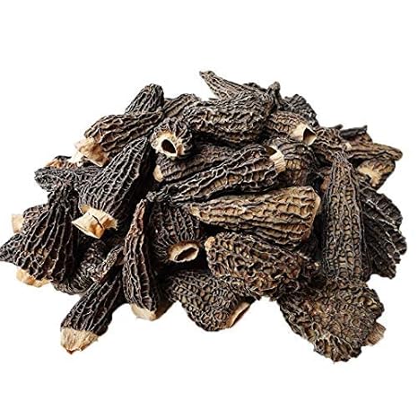 Dried Morel Mushrooms (Morchella Conica) (8oz)