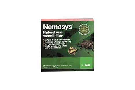 Nemasys Vine Weevil Killer 100 Sq. M, Next-Day Delivery