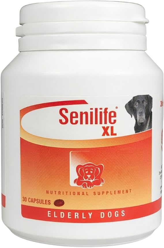 Supplement Capsules for Elderly Dogs