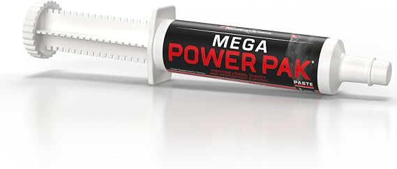 Mega Power Pak Paste - 110 CC