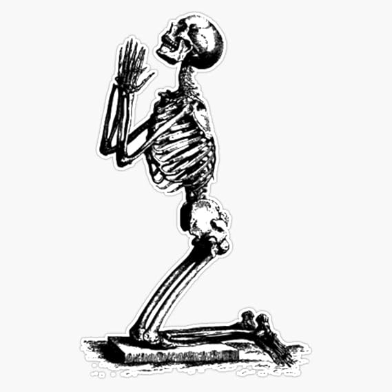Praying Skeleton Forward Observations Group Sticker Bumper Sticker Vinyl Decal 5"