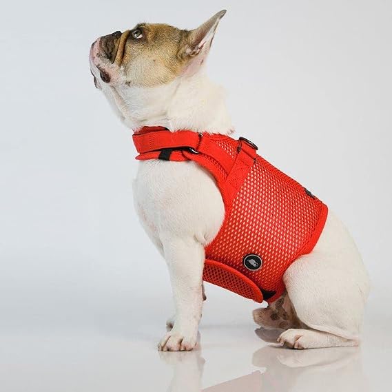 Martingale Dog Harness S Strawberry Red