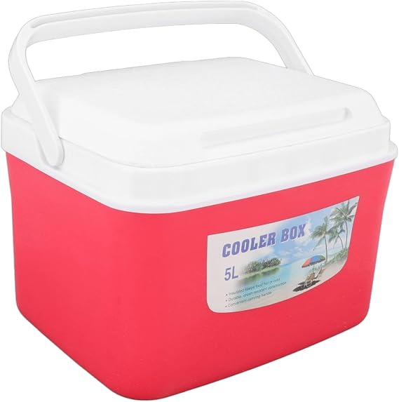 5L Portable Thermoelectric Cooler/Warmer, Portable Electric Cooler Warmer Mini Constant Temp Car Refrigerator with Handle for Car, Camping, Barbecue, Fishing, Picnic, with 5 Ice