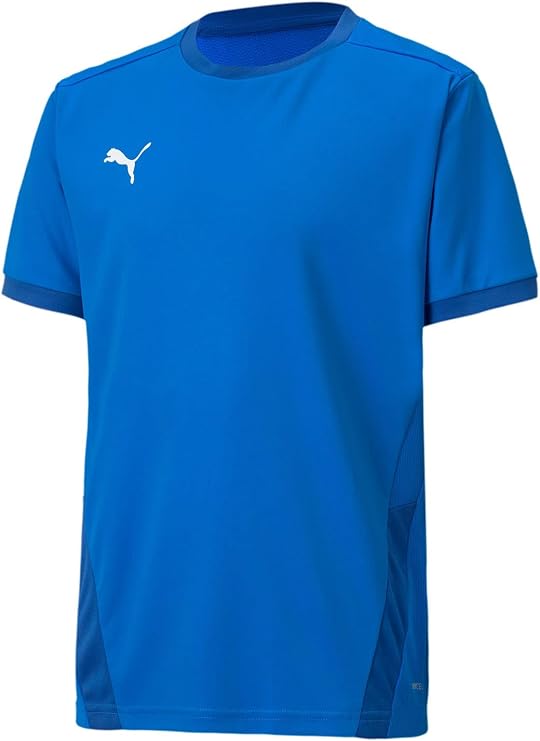 Puma Kids' Youth Teamgoal 23 Jersey