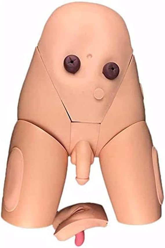 Catheter Model Human Catheter Insertion Practice Enema Teaching Nursing Operation Mold Catheter Practice Catheter Insertion Medical Practice Training Male And Female Interchangeable