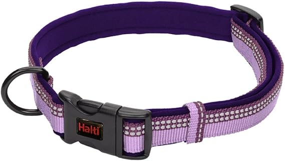 HALTI Comfort Collar - Nylon and Neoprene-Padded Comfy Dog Collar, Reflective, Easy to Fit & Use. Colorful two-tone design, Suitable for Small Dogs and Puppies (Size XS, Purple)