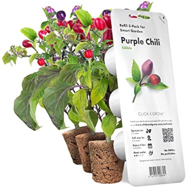 Click and Grow Smart Garden Purple Chili Plant Pods, 3-Pack