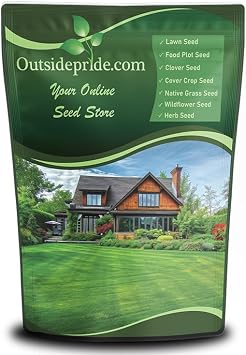Outsidepride Midnight Kentucky Bluegrass Seed - 10 Lbs. Cold & Drought Tolerant, Sun-Loving Lawn Grass Seed, wHigh Traffic Tolerance & Deep Root System, OptiGrowth Coated for Better Establishment