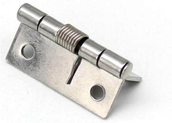 Hinges 5Pcs 304 Stainless Steel Spring Hinge Automatic Cabinet Door Wardrobe Hardware and Furniture Fittings Mini Micro Hinge (Color : 1 Inch)